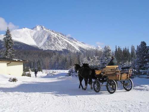 201103021847530.2011_02_26_tatranske_vselico_strbske_pleso_010