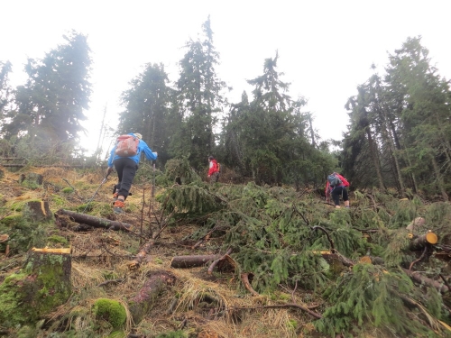 201310280813190.nizke_tatry_kst_081