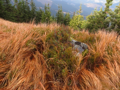 201310280813230.nizke_tatry_kst_096